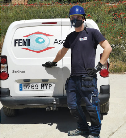 FEMI ASCENSORS