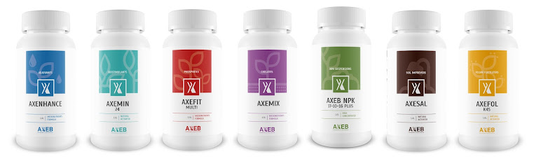 AXEB BIOTECH SL