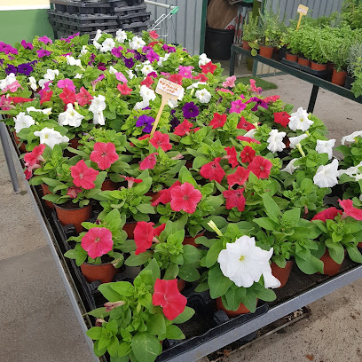 Jardineria ServeiVerd