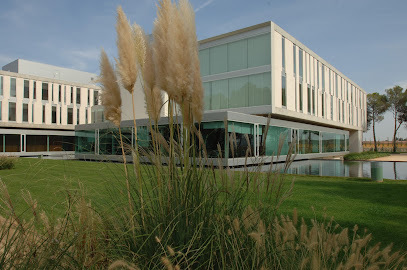 BÈTULA ALBA COMPLEX RESIDENCIAL - VENSO, SA