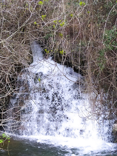 Molí de Cervià