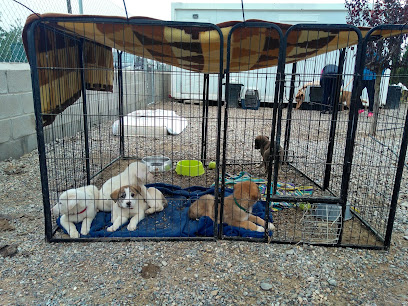 Amigos Peludos Bajo Cinca