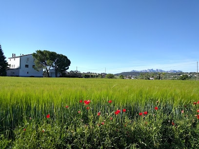 Cal Truncalla