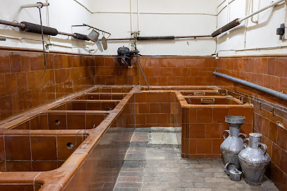 Oli Rupestre del Cogul - Cooperativa del Cogul