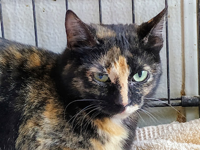 la Asociación Protectora de Animales y Plantas de Tarragona