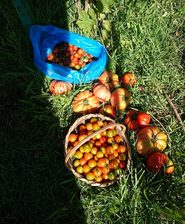 Punt Eco Pardinyes