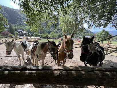 Hípica Rialp Jordi Baró