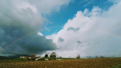 Arenas y gravas Castellot, sa