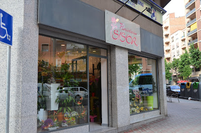 Floristeria Sisor