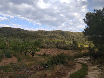 Bosc den Figueres