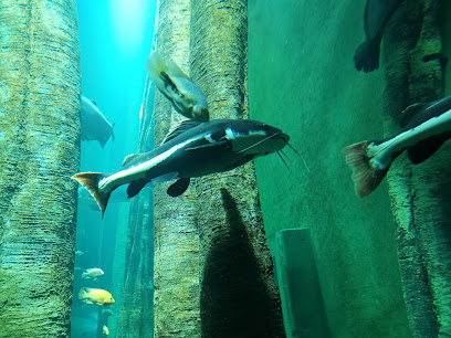Acuario de Zaragoza
