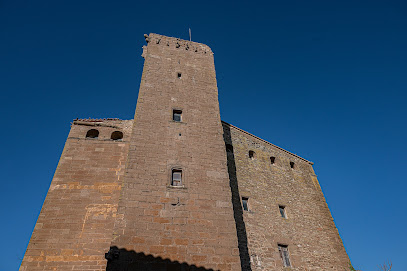 Castell de l'Aranyó