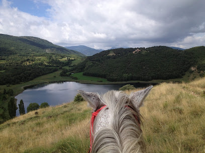 Cavalls Wakan