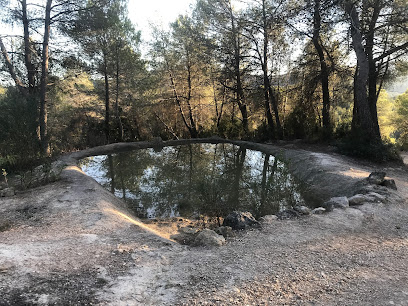 Bassa artificial de Cal Beco
