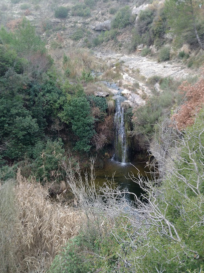 Salt d'aigua