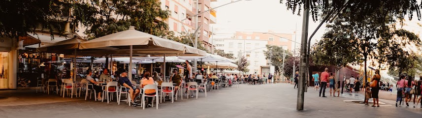 Associació Zona Alta Lleida