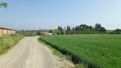 Torre del Roca