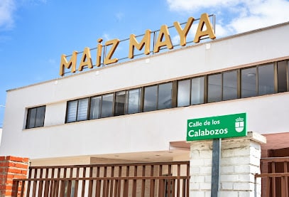 Maíz Maya