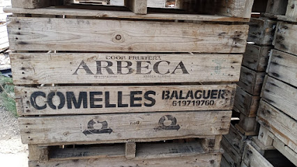 FRUITS COMELLES PERE
