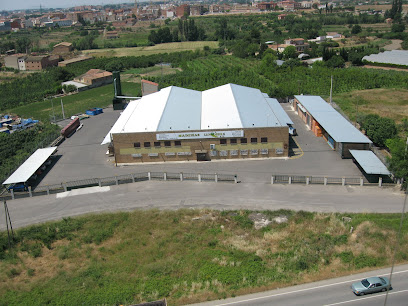 Maderas OBIOLS CENTRAL