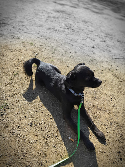 Protectora d'Animals Lydia Argilés