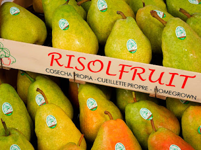 RISOLFRUIT Cultivo de fruta y cosecha propia de Lleida (España)