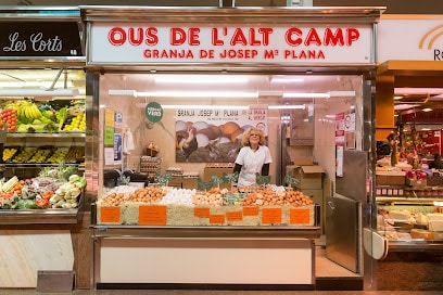 Ous De L'alt Camp - Granja Josep M. Plana