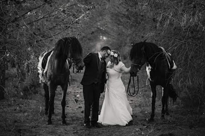 Bolquerets Fotografia