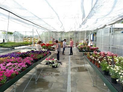 Horticultura i Jardineria Les Planes