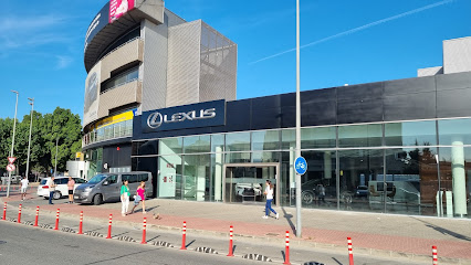 Lexus Murcia
