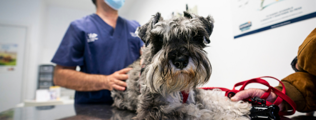 Hospital Veterinari de Lleida