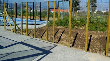 PERIMETER LINCE, S.C.P.