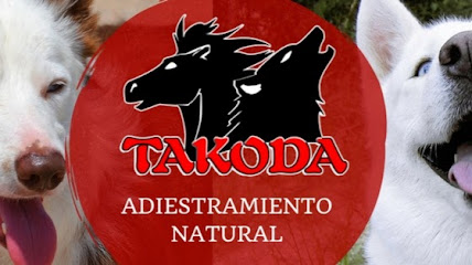 Takoda Adiestramiento Natural