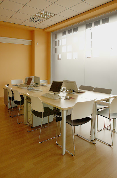 Programación Integral Lleida