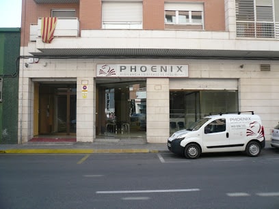 PHOENIX Vigilancia y Seguridad S.A.