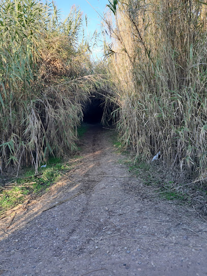 Camí del Riu - Canal de Seròs