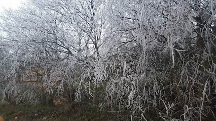 Alt de Vilanova de la Sal