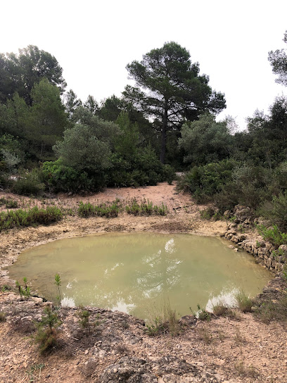 Bassa en Fuster