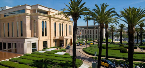 Andrologia Barcelona Teknon - Expertos en Disfunción Eréctil y Enfermedad de Peyronie