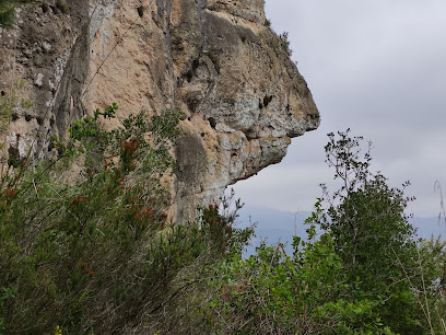 Brollador Aigües de Fontdalt