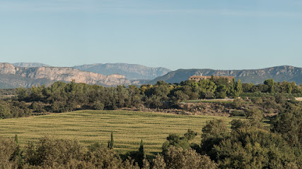 Bodegas Costers del Sió, S.L.