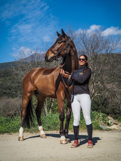 Paula Fernandez Dressage