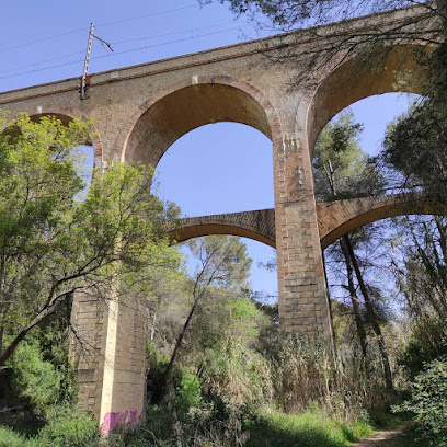 Set ponts