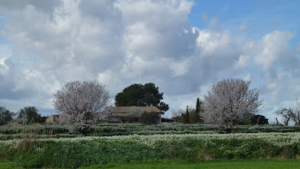 Dos cirerers