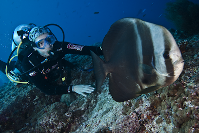 Alpisub | Cursos de Submarinisme a Manresa i Terrassa