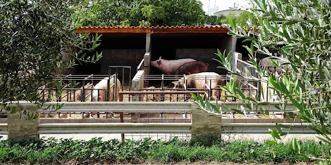 Granja Adzerias