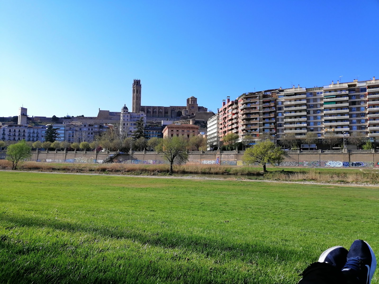 Cursa de la Dona de Lleida (GoGoGoRunners)