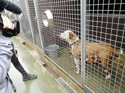 Centro de Acogida de Animales de Compañía de Barcelona
