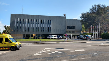 Guardia Urbana de l'Ajuntament de Lleida