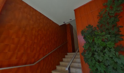 ASV Pisos